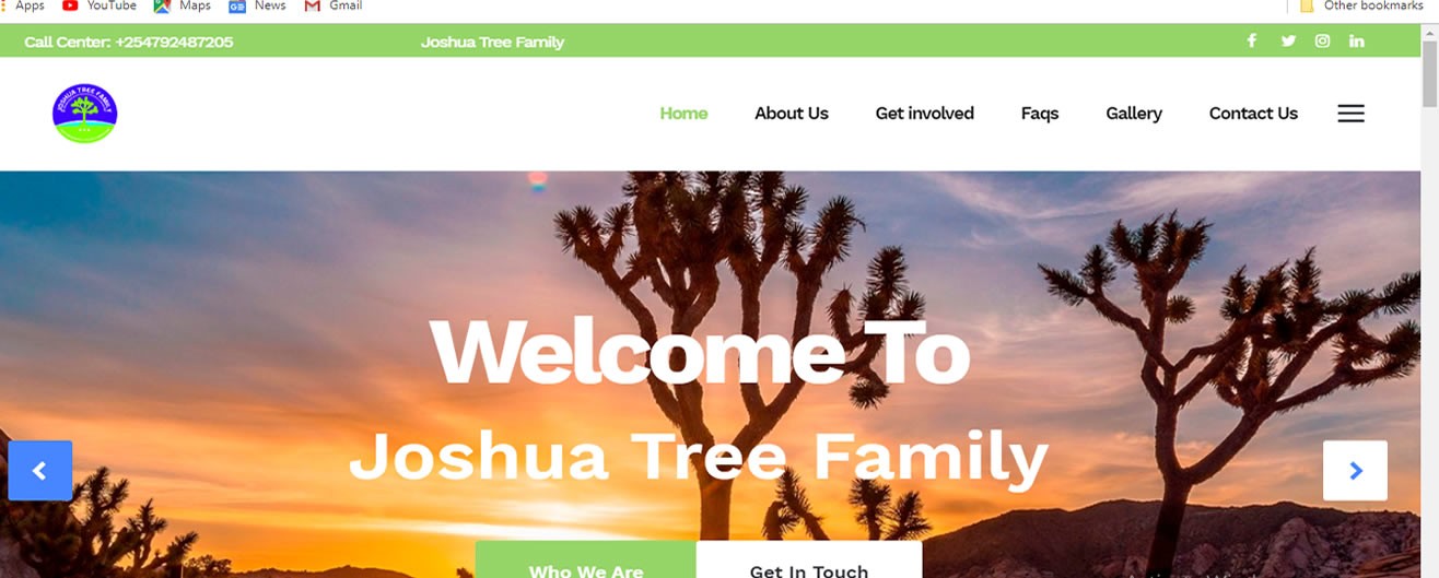 Joshua Tree Organization